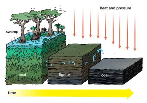 Formation Of Fossil Fuels | Formation of Coal | Chemistry | Byju's