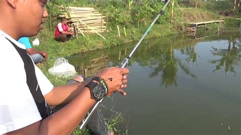 Mancing Ikan Mas - YouTube