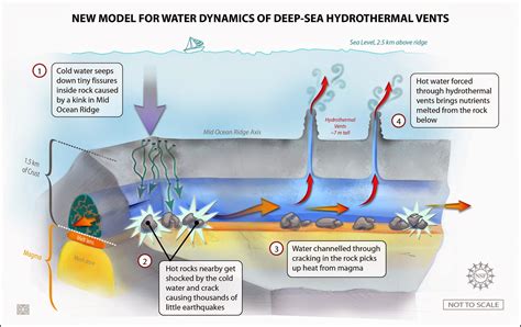 ENV 105: Geology Blog: Hydrothermal Deep Sea Vents