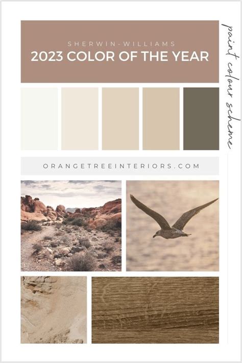 2023 Colour of the Year [Sherwin-Williams] & How to Use it in Your Home ...