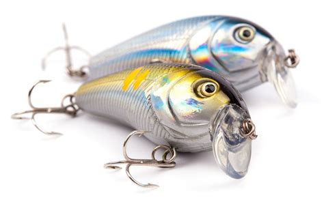 Learn About Bass Lures; Which Bass Fishing Lures Work Best - Take ...