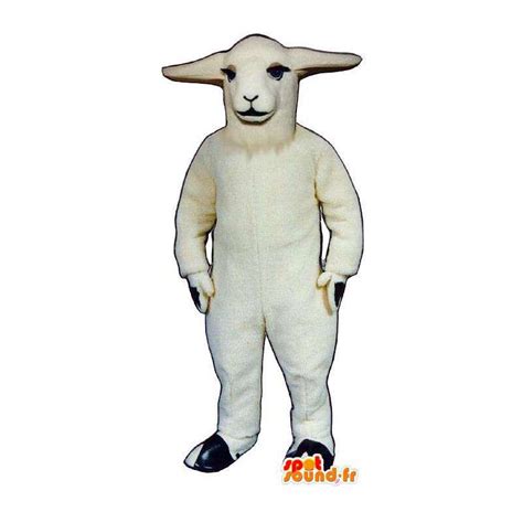 Purchase Mascot white sheep. Sheep costume in Mascots sheep