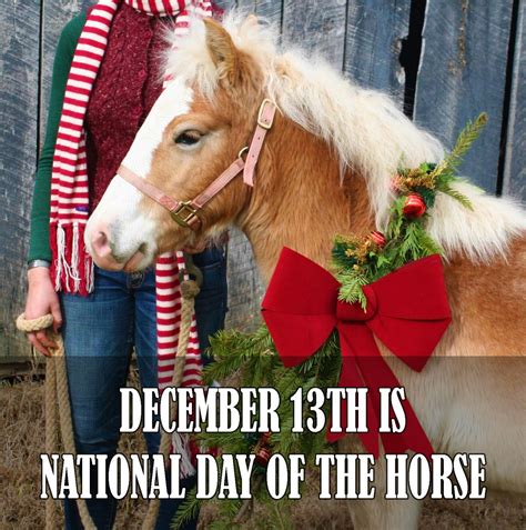 Tomorrow is National Day of the Horse, so we are Launching the 12 Donor ...