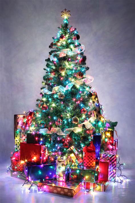 Decorated Christmas Tree With Colorful Lights | Árvores de natal ...