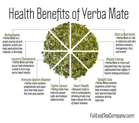 What Is Yerba Mate: Uses, Benefits And Brands Tea Allure, 60% OFF