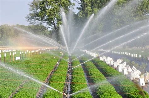 Sprinkler Irrigation - Advantages & Disadvantages