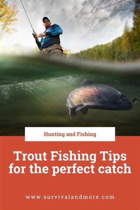 31 essential tips for fly fishing for trout – Artofit