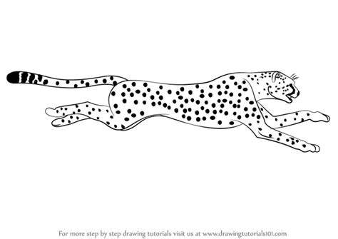 Learn How to Draw a Cheetah Running (Big Cats) Step by Step : Drawing ...