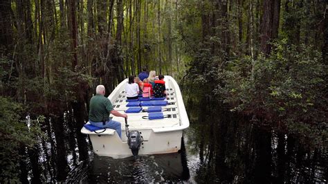 Okefenokee Swamp Park - Okefenokee Swamp Park & Adventures