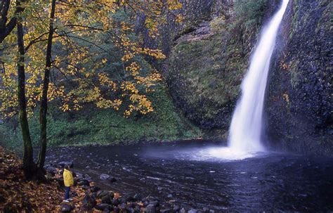 Oregon fall foliage: When will trees reach peak color? - oregonlive.com