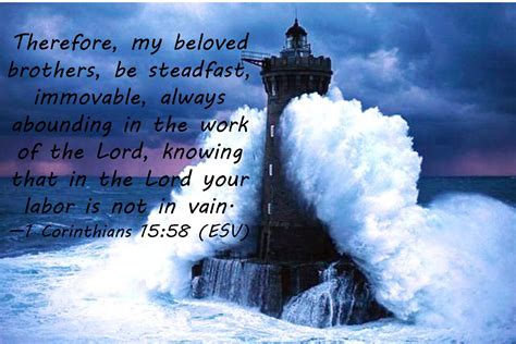 Be Steadfast. Be Immovable. - Wellspring Christian Ministries