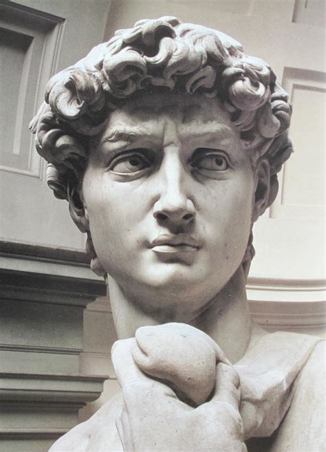 Head of David by Michelangelo Photograph by Carl Purcell - Fine Art America