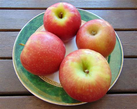 Apples, Cripps Pink, Argentina – Marshford Organic Foods