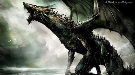 4K Dragon Wallpaper (50+ images)