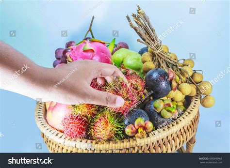 Hand Picking Fruits Basket Stock Photo 690340462 | Shutterstock