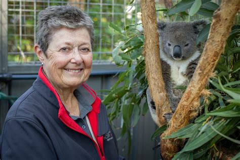 Big Plans For The Port Macquarie Koala Hospital After COVID Closure