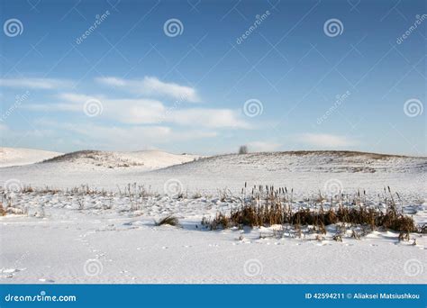 Snowy hills in the winter stock image. Image of landscape - 42594211