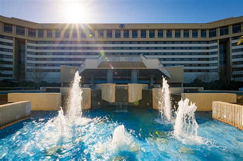 Hilton Orlando Lake Buena Vista Disney Springs Hotel Review - Disney ...