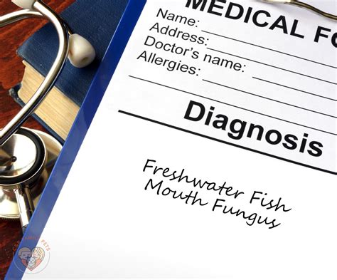 Freshwater Fish Mouth Fungus: Causes, Symptoms, and Treatment