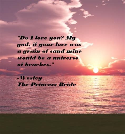 The Princess Bride Quote