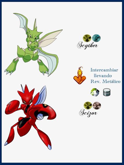 Scizor🐛🔩 | •Pokémon• En Español Amino