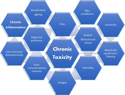 Chronic toxicity and disease – Dagmar Ganser – True Medicine ...