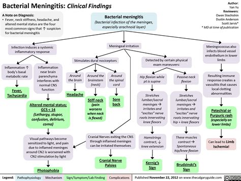 Bacterial Meningitis: Clinical Findings | Calgary Guide