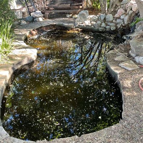 Koi Pond Maintenance,Water Systems Before and After - Gold N Koi