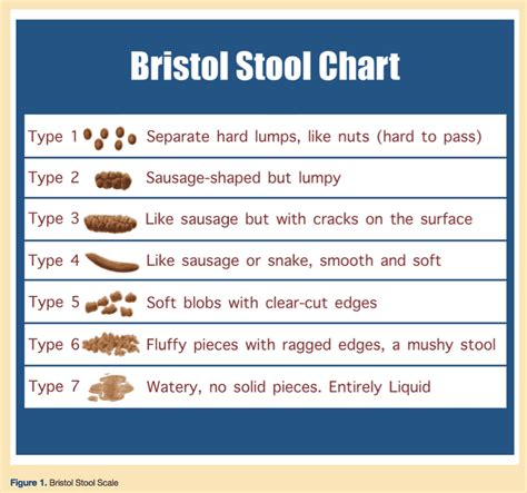 Know Your Poop Chart