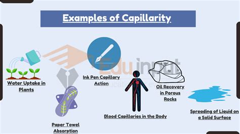 7 Examples of Capillarity