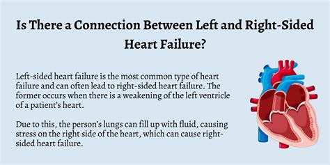 What Is the Difference Between Left and Right Sided Heart Failure?