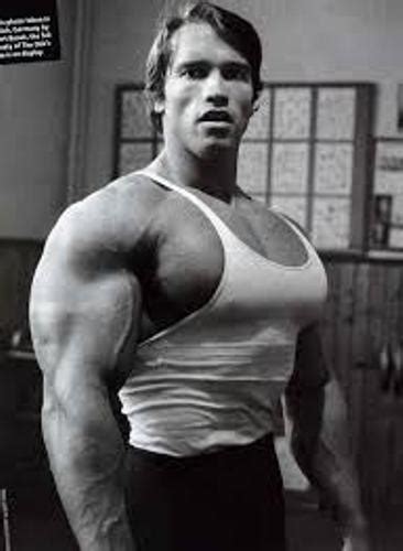 10 Facts about Arnold Schwarzenegger - Fact File