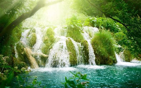 Forest Waterfall - http://desktopwallpapersfree.net/forest-waterfall ...