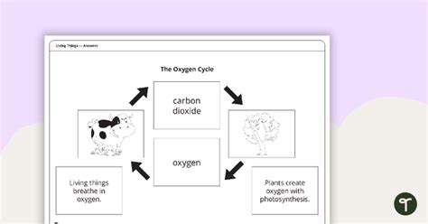 The Oxygen Cycle - Worksheet | Teach Starter