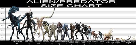 User blog:MGSolidSnake/Alien/Predator/Other Size Chart | Xenopedia | Fandom