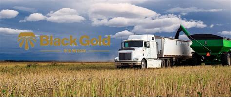 Working with Black Gold Farms Inc. | CDLLife