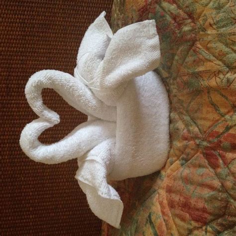 Love swan towels | Towel origami, Fancy towels, How to fold towels