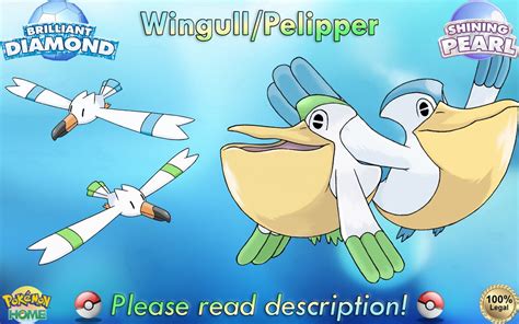 Shiny/non-shiny Wingull/pelipper 6IV Brilliant - Etsy