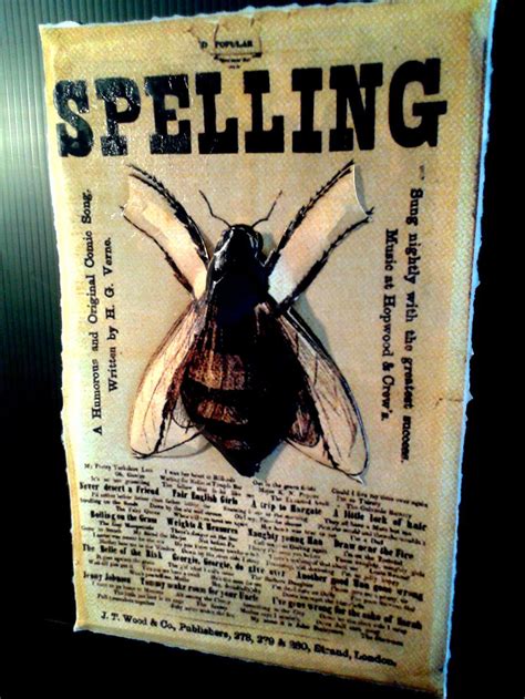 Spelling Bee