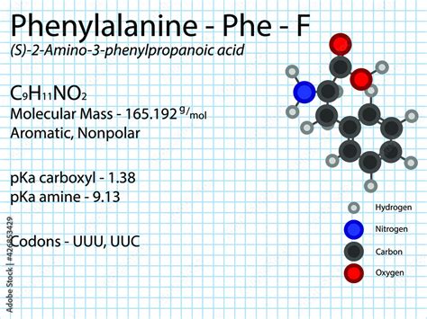 Phenylalanine - Phe - F - Essential Amino Acid molecular formula ...