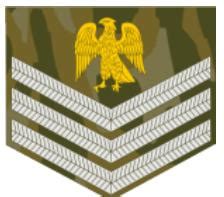 Nigerian Army Ranks And Symbols – Infoguidenigeria