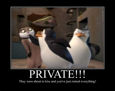 Madagascar Penguins Quotes. QuotesGram