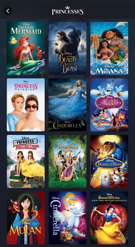 Everything Princess So Far on Disney+