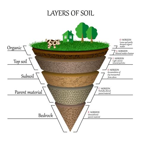 Soil Formation: What Is Soil Made Of? How Do Soils Form?