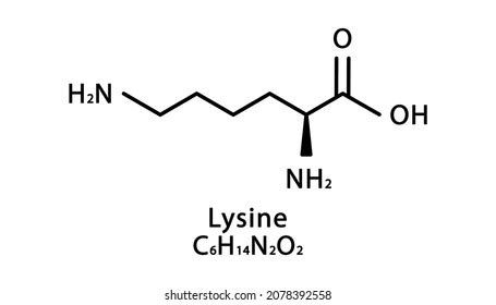 Lysine Molecular Structure Lysine Skeletal Chemical Stock Vector ...