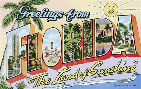 Greetings from Florida, "The Land of Sunshine" Postcard - 1000Museums