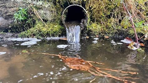 Water Companies Illegally Dumping Sewage in Rivers - LatestDeals.co.uk