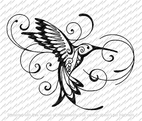 Hummingbird Tattoo Black And White Outline