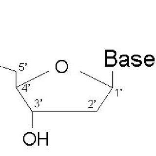 The chemical structure of a nucleotide. | Download Scientific Diagram