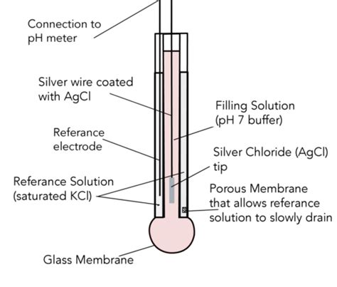 Labelled Diagram Of Ph Meter